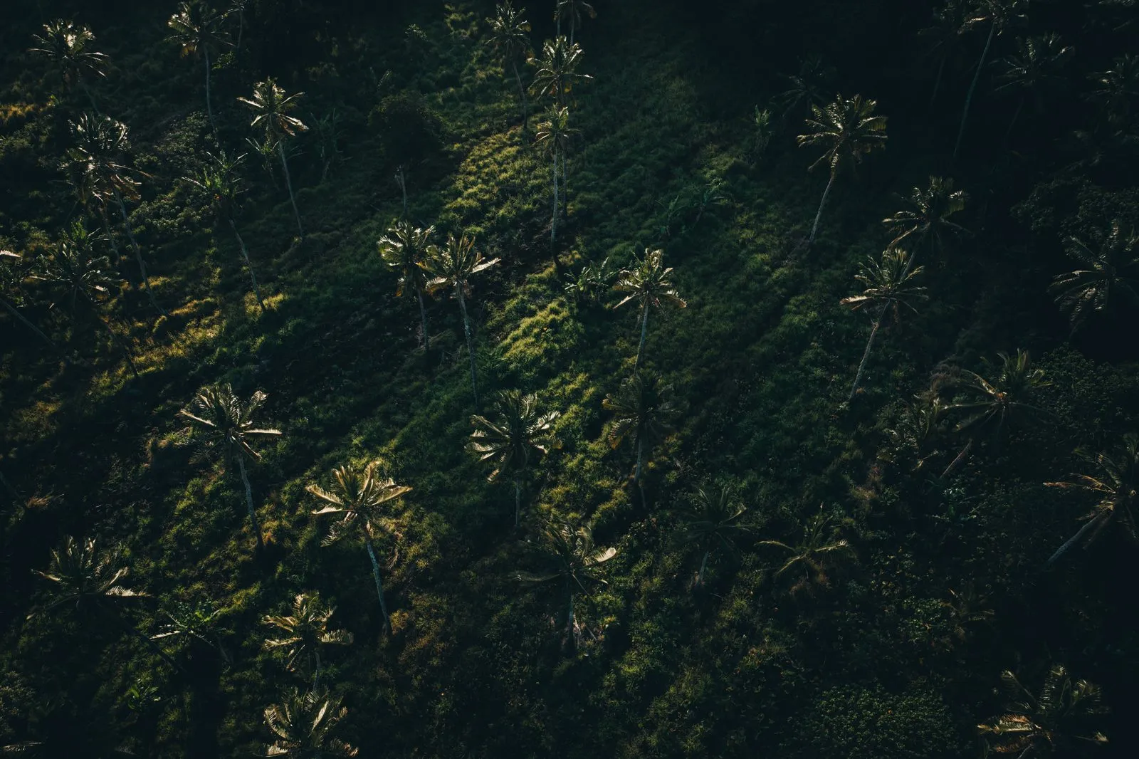 Photograph by DYLN Media