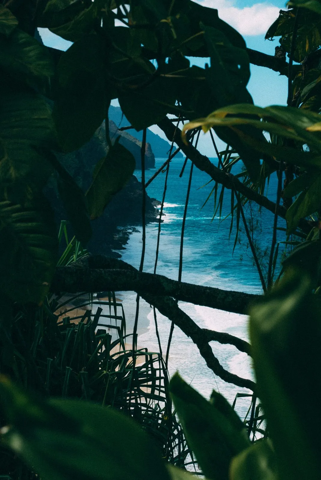 Photograph by DYLN Media