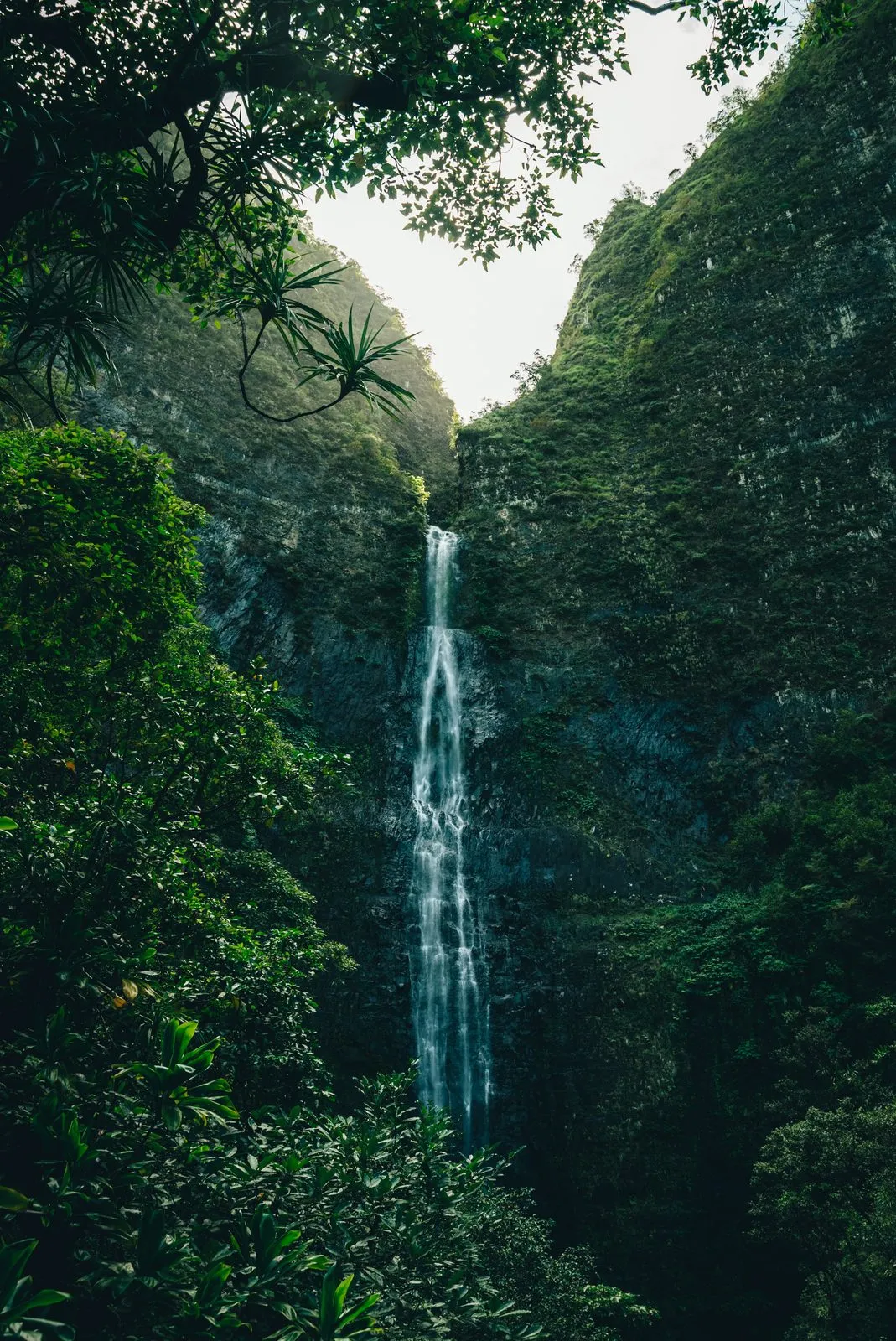 Photograph by DYLN Media